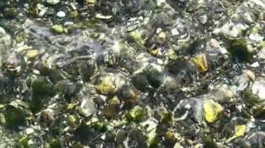 Deniz yüzeyi. Açık deniz suyundaki dalgalanmaları kapat. Parlak yeşil su yüzeyi arka planı, Süper Yavaş Hareket çekimi.