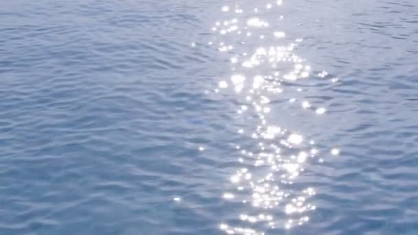 游泳池水夹的特点是在游泳池清澈的蓝色水域的特写镜头 视频似乎是在阳光明媚的日子拍摄的 游泳池看上去干净舒适 — 图库视频影像