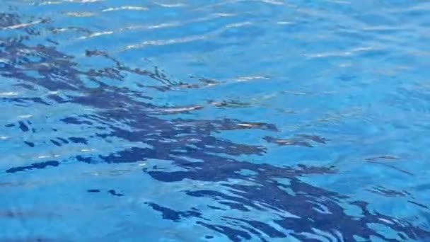 Yüzeyi Arkaplanı Stok Görüntülerinde Bir Yüzme Havuzunda Aşırı Yakın Plan — Stok video