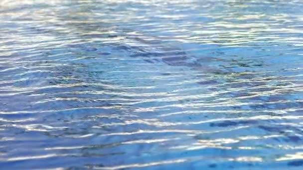 水面背景库存素材在游泳池中拍摄了蓝色水的极端特写镜头 水在缓慢运动中翻滚 有太阳的一些反射 — 图库视频影像