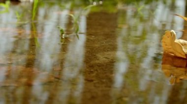 Aerial view of speeding windsurfers with speed ramp effect. The silhouettes of windsurfers with their magnificent views are having a wonderful day in cesme alacati Turkey at sunset.
