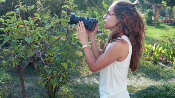 Fotograf Přírodě Stock Video Nádherný Videoklip Který Ukazuje Mladou Ženu — Stock video