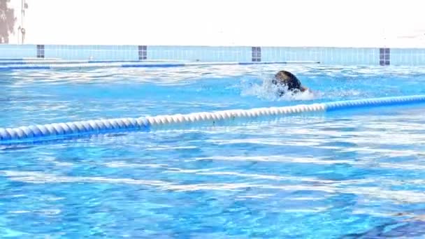Woman Swimming Deep Blue Pool Clear Transparent Cool Water Backdrop — Stok video