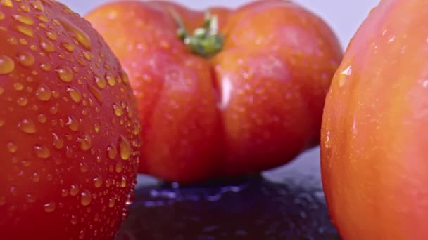 Ντομάτες Πολύ Κοντινές Αυτό Βίντεο Δείχνει Από Κοντά Μια Κόκκινη — Αρχείο Βίντεο