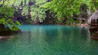 Ormandaki Küçük Göl. Bu stok görüntüleri ormandaki güzel bir gölü gösteriyor. Çekim, yemyeşil yapraklarla çevrili mavi suyu gösteriyor..