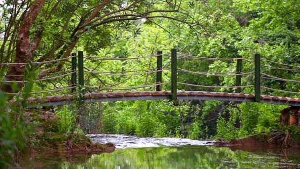 木製の橋は川を渡る 森のきれいな川を渡る木製の橋の長いショットが特徴です 橋の下を水が流れ 植物がシーン全体を覆います — ストック動画