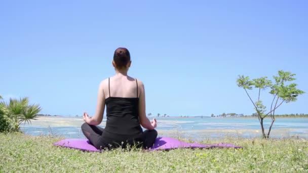 Yoga Nature Świetny Materiał Filmowy Udziałem Kobiety Natury Lata Relaksu — Wideo stockowe