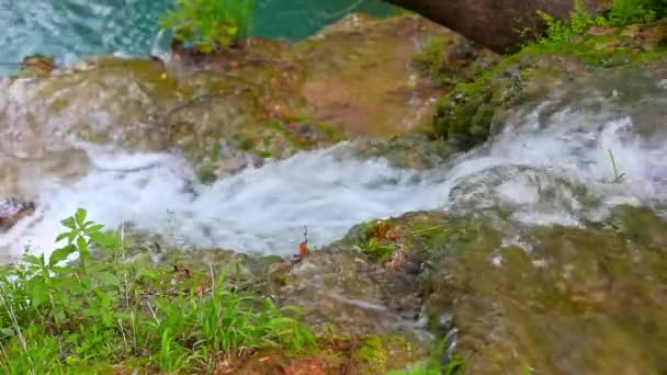 Vista Cerca Arroyo Apresurado Flujo Rápido Agua Manantial Con Algunas — Vídeos de Stock