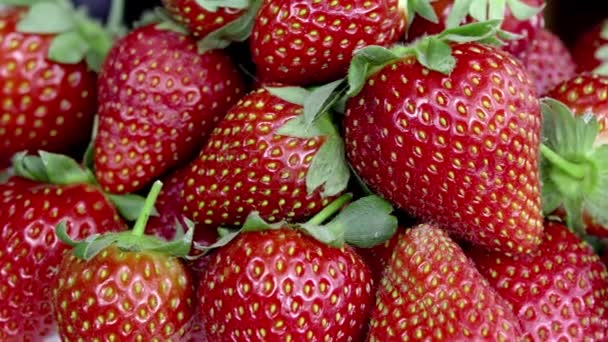 Φράουλες Είναι Ένα Απόθεμα Βίντεο Που Περιέχει Πρόστιμο Πλάνα Από — Αρχείο Βίντεο