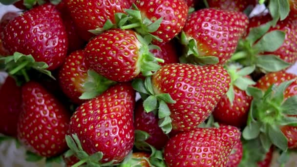 Erdbeeren Ist Ein Stock Video Das Feines Filmmaterial Von Frischen — Stockvideo