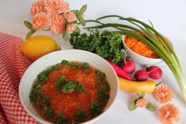 Суп с морковью — стоковое фото