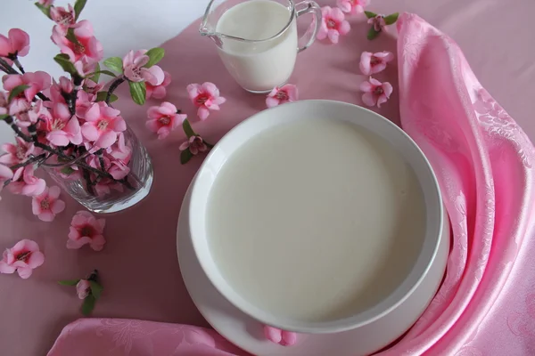 Mléko polévka — Stock fotografie