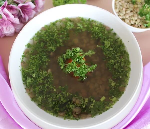 Sopa de lentilha — Fotografia de Stock