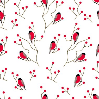 bullfinches dağ kül dallar