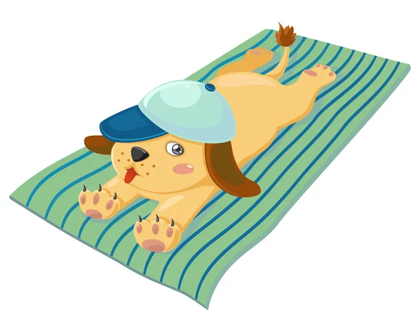 Perro en Cap Tans — Vector de stock