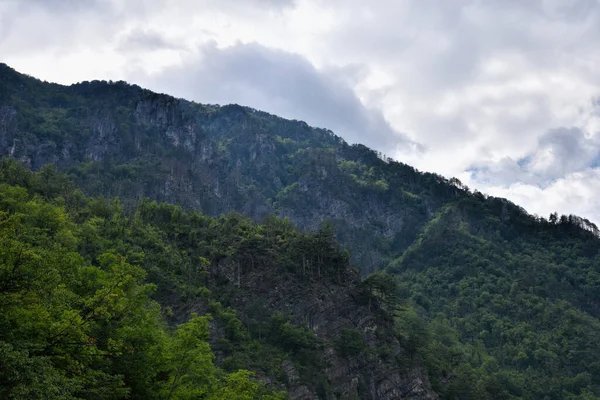 Fotografia Paisagem Incrível Vista Natural Cênica Montanha Temporada Verão — Fotografia de Stock