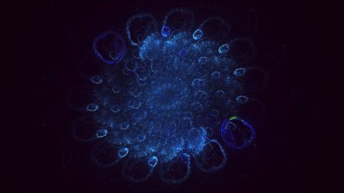 3B soyut renkli fraktal ışık arkaplanı oluşturma