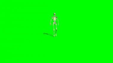 İskelet gider - yeşil ekran etkisi