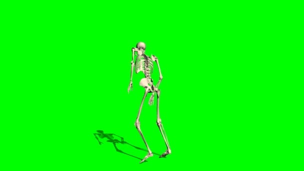 Skeleton gaat kreupel vooruit - groen scherm — Stockvideo