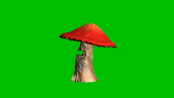 Angry red mushroom looks around - with shadow - green screen — Stock Video