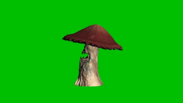 Angry brown mushroom looks around - green screen — Stock Video