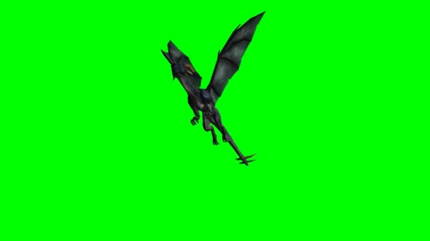 Dragón volador wyvern en verde — Vídeo de stock