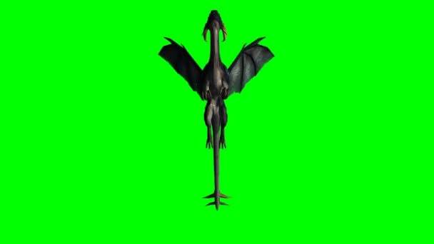 Dragon volant wyvern sur vert — Video