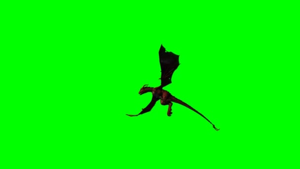 Dragon in flight - green screen — Stock Video