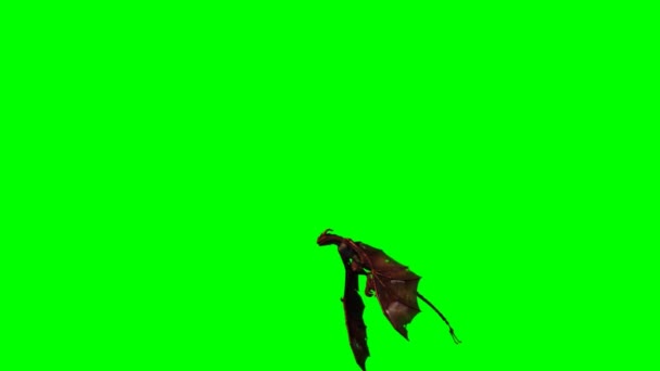 Smok w locie - zielony ekran — Wideo stockowe