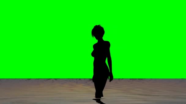 Vrouw op het strand - silhouette - groen scherm — Stockvideo
