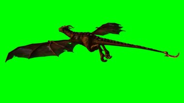 Ejder Wyvern süzülüyor - yeşil ekran