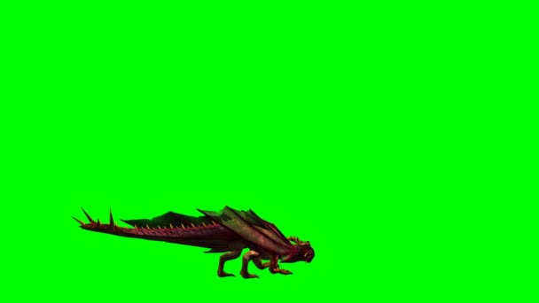 Dragon animation - green screen — Stock Video