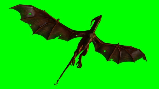 Dragon wyvern in the glide - zielony ekran — Wideo stockowe