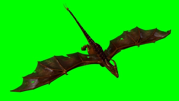 Dragon wyvern in the glide - green screen