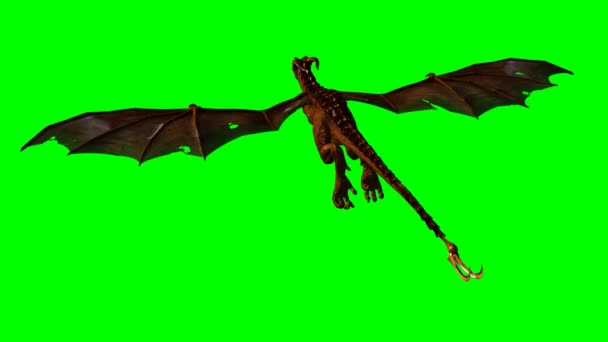 Dragon wyvern in the glide - green screen — Stock Video