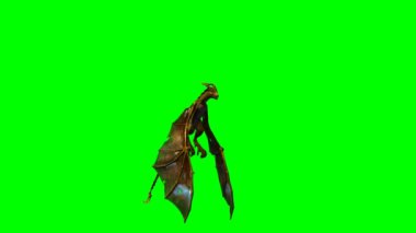 Ejderha uçuyor - yeşil ekran