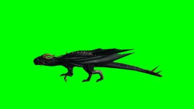 Dragon çalışır - yeşil ekran