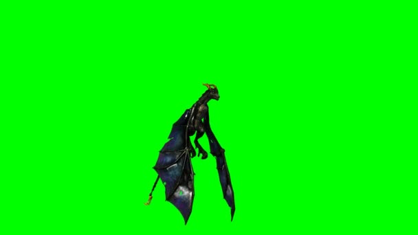 Dragon in flight - green screen — Stock Video