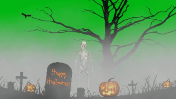 Esqueleto en la niebla en el cementerio feliz halloween- pantalla verde — Vídeo de stock