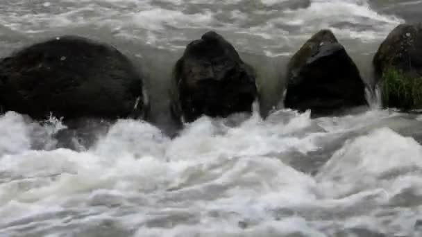 Çalkantılı rapids nehrin akış — Stok video