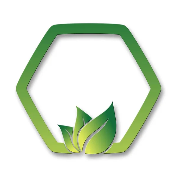 Feuilles Vertes Dans Cadre Géométrique Logo Écologique Abstrait Isolé Sur — Photo