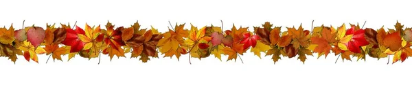 Autumn Banner Colorful Leaves Websites Decor Illustration — Stock Photo, Image