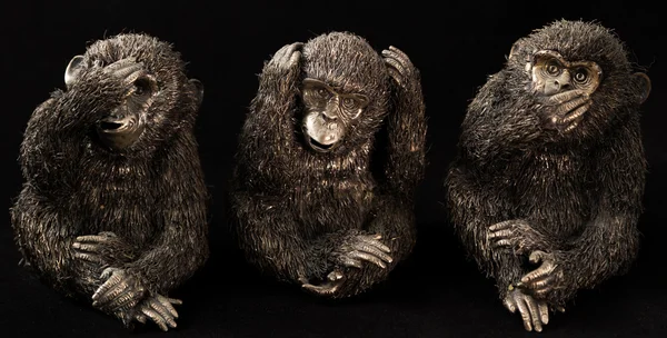 3 małpki Obraz Stockowy
