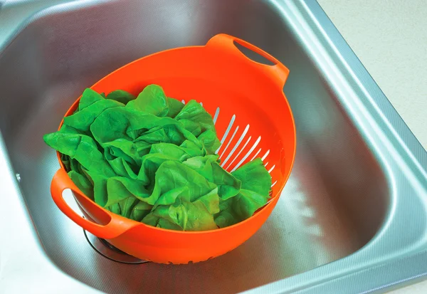 Зеленый салат на оранжевой дуршлаге Лицензионные Стоковые Изображения