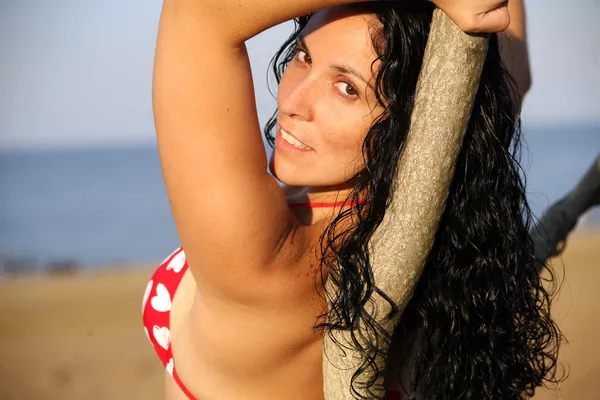 ağaç plajda yatan bikini kız