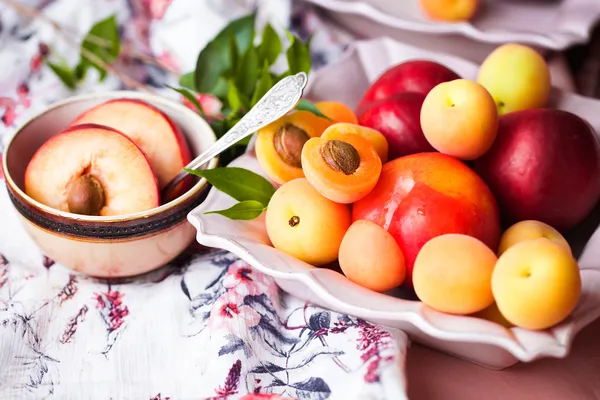 Assiette de fruits — Photo