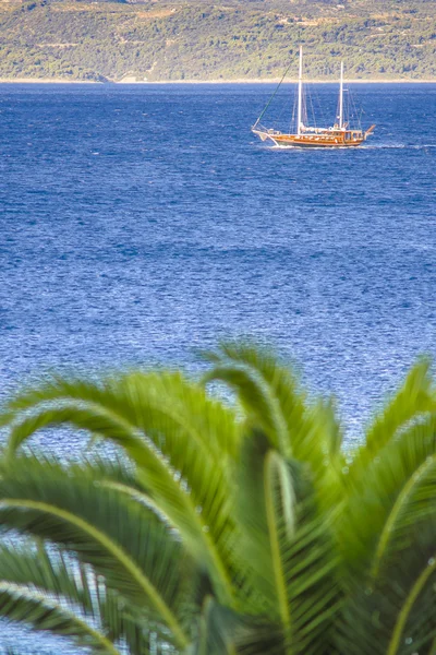 A sailing ship in the sea, mountains in the background, a palm — Stock Photo, Image