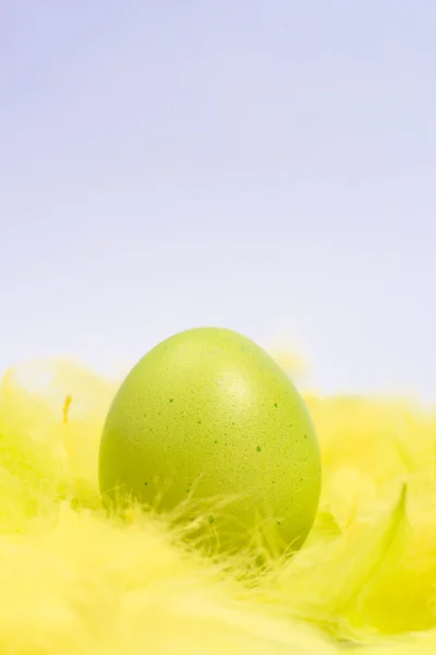 Green Easter egg colourful eggs in yellow feathers. — Stock Photo, Image