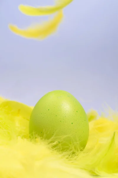 Πολύχρωμα αυγά πράσινο αυγό Πάσχας σε κίτρινο φτερά. — Φωτογραφία Αρχείου