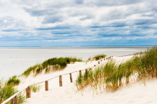 Cerca na duna à beira-mar com nuvens tempestuosas visíveis . — Fotografia de Stock